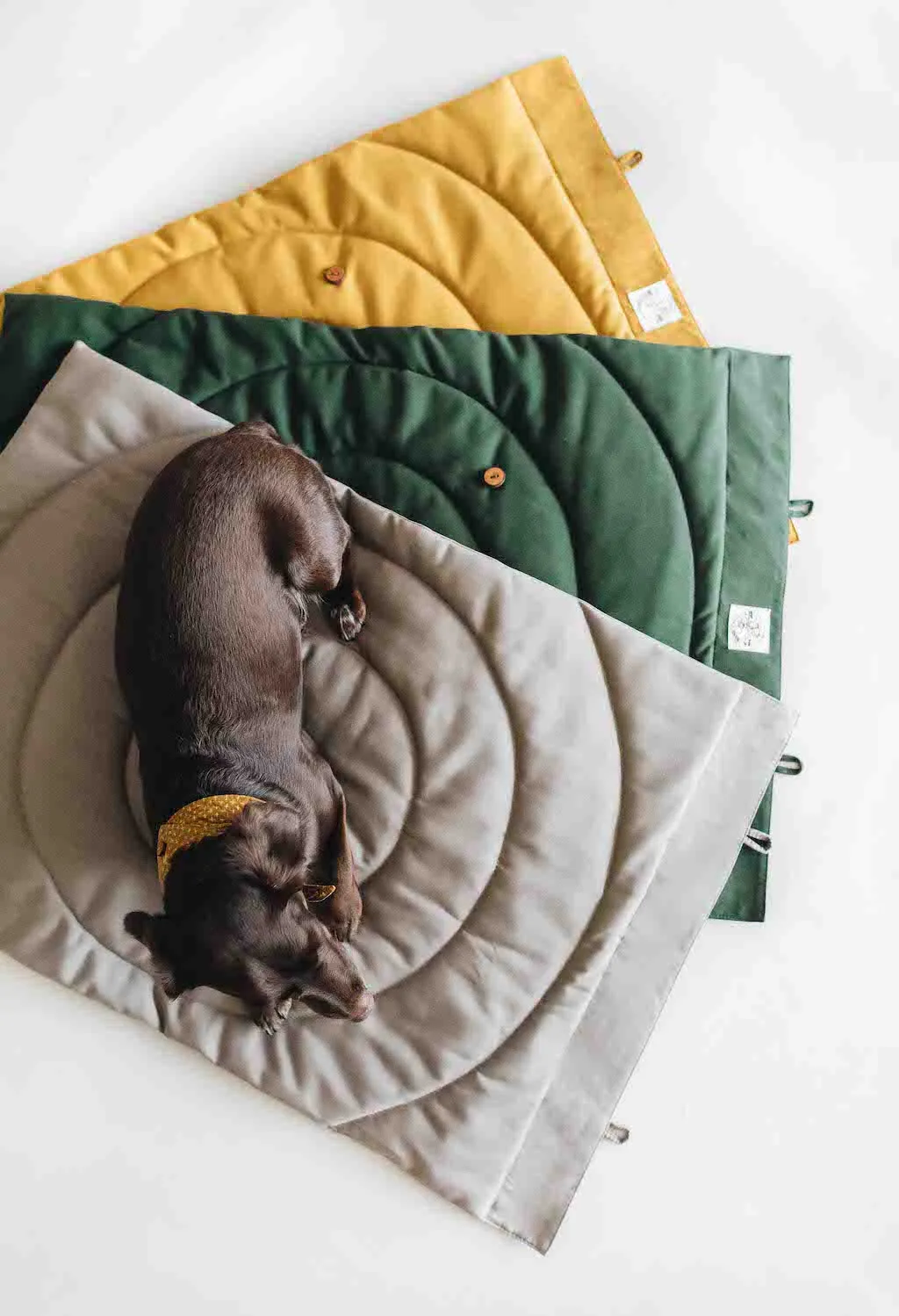 Compass Travel Dog Blanket