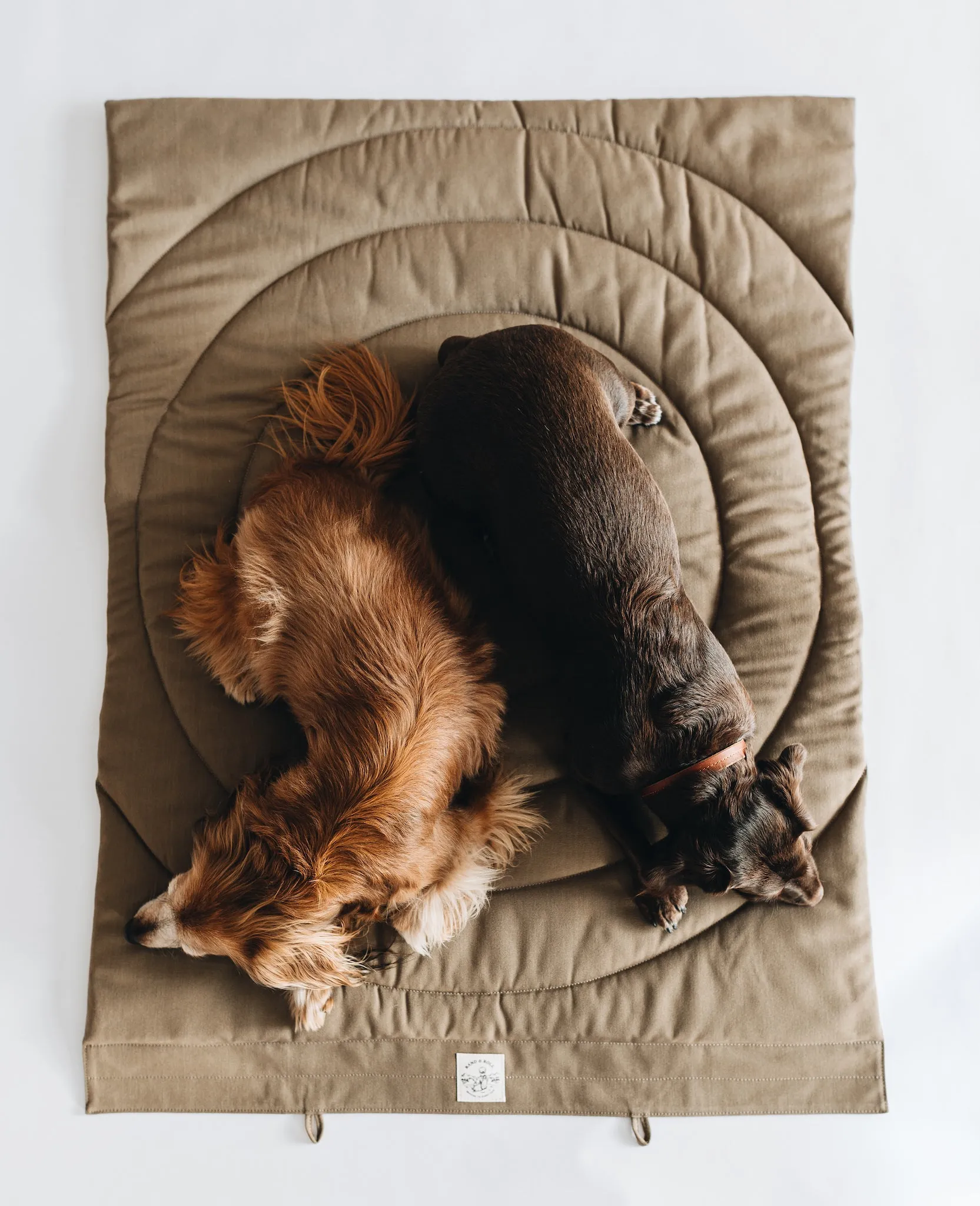 Compass Travel Dog Blanket